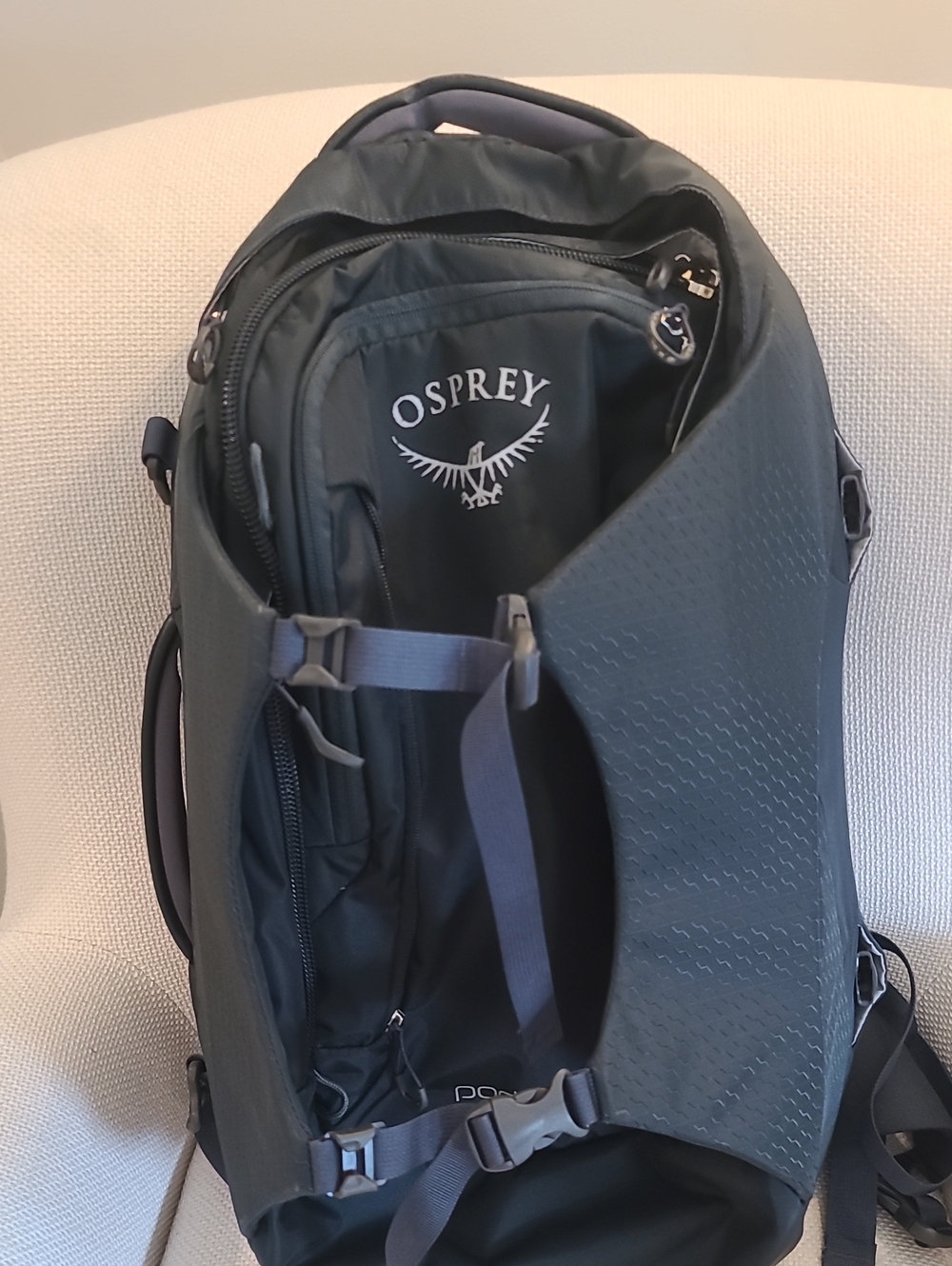 OSPREY Dark Green Backpack with Gray Straps